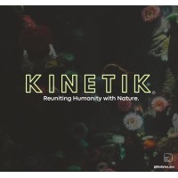 Kinetik Ventures logo - Similar company to Pdie Group