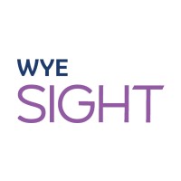 Wye Sight logo - Similar company to Wye.Com