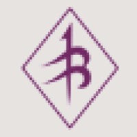 Bespoke Software Solutions logo - Similar company to Bugfree Solution Private Limited