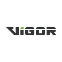 Vigor NL logo - Similar company to Szostecki Gmbh