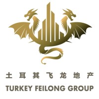 土耳其飛龍集團 | Turkey Feilong Group logo - Similar company to Çince Tercüman