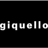 giquello logo - Similar company to Exeve Sas