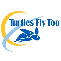 TURTLES FLY TOO logo - Similar company to Dimension Systems
