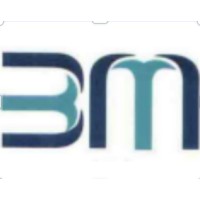 B M Financial Services India Pvt Ltd logo - Similar company to Gem Advisory