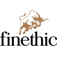 www.viveknegi.com logo - Similar company to Fesg