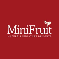 MiniFruit logo - Similar company to Perspecta.Dgtl