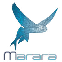 MARARA Films logo - Similar company to Jack Production