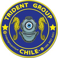 TRIDENT GROUP CHILE logo - Similar company to Trident Group Capital
