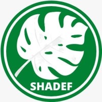 Safe Space Development Foundation (SHADEF) logo - Similar company to Dev Design Agency