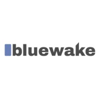Bluewake logo - Similar company to Anomotion Interactive (Acquired By Rockstar Games)