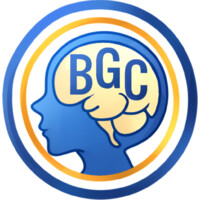 Brain Game Center logo - Similar company to High-Performance Engineering (Hipe)