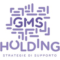 GMS Holding Srl logo - Similar company to Vay Srl