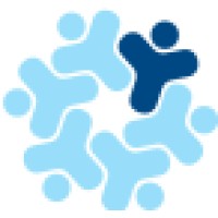 Project Execution Services