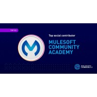 MuleSoft Integration Academy logo - Similar company to Dwinsoft Technologies | Beyond Integration
