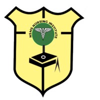 NSMS NURSING INSTITUTE logo - Similar company to Nsms Group Of Institutions