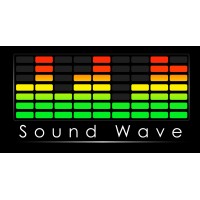 Sound Wave Deventer - Zutphen logo - Similar company to Springzaad