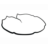 Flytlandskap AS logo - Similar company to Dubblett