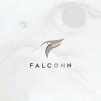 Falcon Designers logo - Similar company to Structure & Earthquake