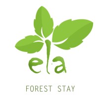 Ela Forest logo - Similar company to Topalign It Solutions Llp