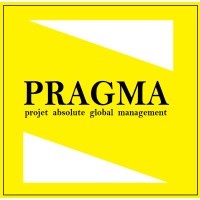 Pragma Srl logo - Similar company to Pragma S.R.L.- Analizza E Risolve