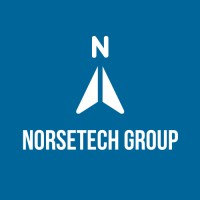 Norsetech Group logo - Similar company to Valuedata Research & Marketing Services