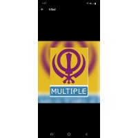 Multiple Industries Limited logo - Similar company to Nilbud Sl