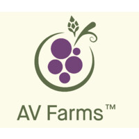 AV Farms logo - Similar company to Aconseg