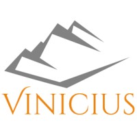 Vinicius logo - Similar company to Metronet Broadband Networks