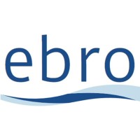 Ebro Solutions Limited logo - Similar company to Hadron Engineering Ltd