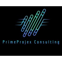PrimeProjex Consulting, LLC. logo - Similar company to Berk Labs