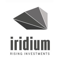 Iridium Rising Investments logo - Similar company to Dindog Tech
