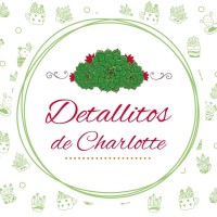 DETALLITOS DE CHARLOTTE logo - Similar company to Domach