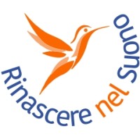 Rinascere nel Suono logo - Similar company to Silentsystem Audio Global