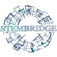 Stembridge logo - Similar company to Robotalent