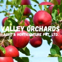 Valley Orchards Agro & Horticulture Pvt. Ltd logo - Similar company to Cgi Photorealistic Render