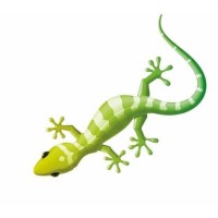Rijschool Green logo - Similar company to Rijschool Mc