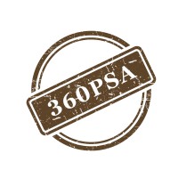 360PSA logo - Similar company to Central Association Of Private Security Industry (Capsi)
