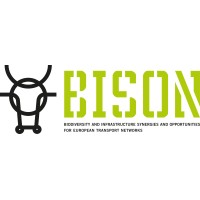 Bison logo - Similar company to Iene - Infrastructure Ecology Network Europe (Official Page)