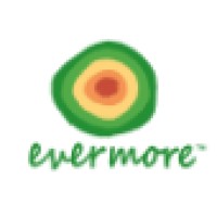 Evermore logo - Similar company to Plutus Plus
