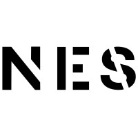 Newton Executive Search logo - Similar company to Buhler & Associates, Llc