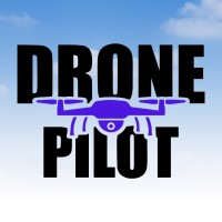 Drones Pilot logo - Similar company to Dronistics