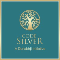 Code Silver India logo - Similar company to Webhulk - Web Designing & Digital Marketing