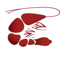 Grancomar S.A. logo - Similar company to Deli S.A.