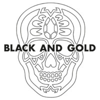 Black and Gold logo - Similar company to Fundeon (Opgeheven)