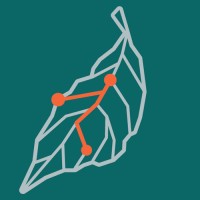 RiEnergia - ambiente e risorse, punto per punto logo - Similar company to Ageei