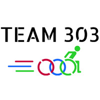 TEAM 303 logo - Similar company to Avmd