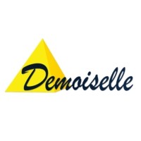 Demoiselle FM logo - Similar company to Rcf Charente-Maritime
