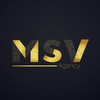 Agence MSV | Marketing digital & SEO agréé Google – TPE/PME logo - Similar company to Front-Commerce