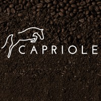 Project : Capriole logo - Similar company to Ohya Group