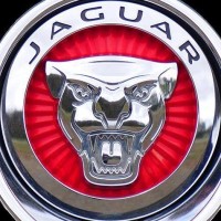 Jaguar Lakewood logo - Similar company to Gamma Iota Sigma - Alpha Lambda